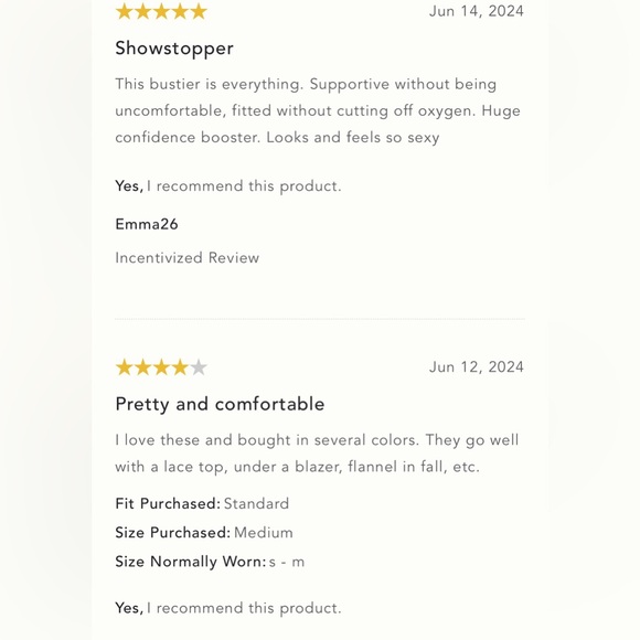 NWT Size XL - The Giselle Lace Bustier - Picture 9 of 16